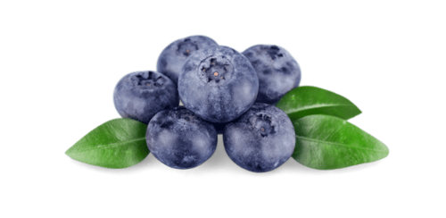 Blueberries