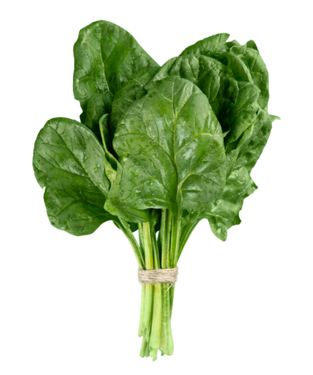 Spinach (Fresh Leaf)