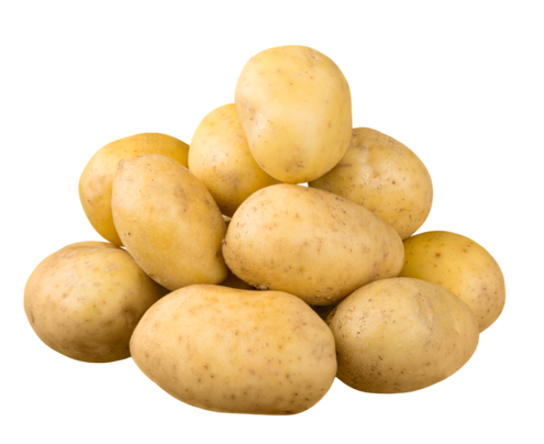 Potato (Russet)