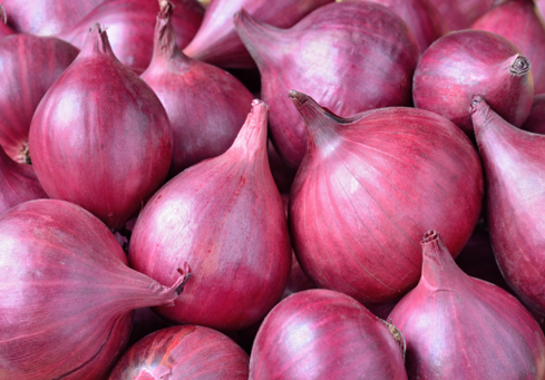 Onion (Red)