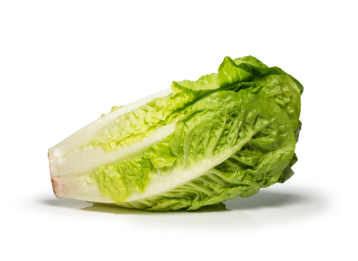 Lettuce (Romaine)