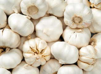 Garlic
