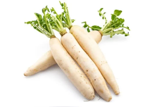 Radish