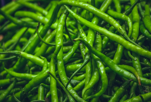 Green Chilly - India